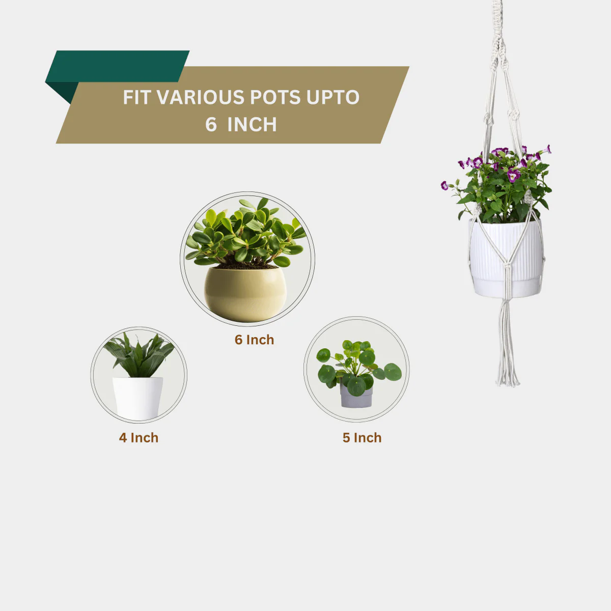 Macrame Cotton Plant Holder for Home & Garden Pack of 2 - Image 5