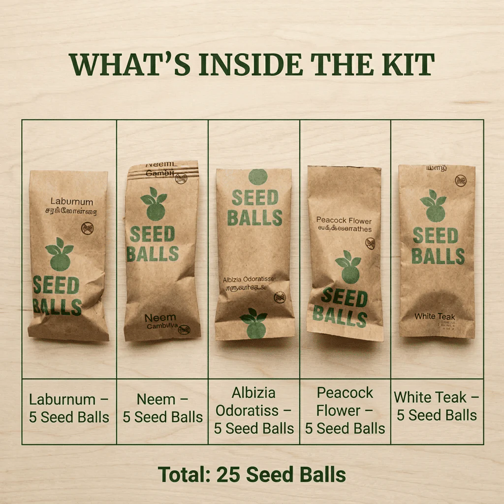 Native Tree Seed Ball Kit 25 Pack Eco Reforestation Seed Bombs - Image 3