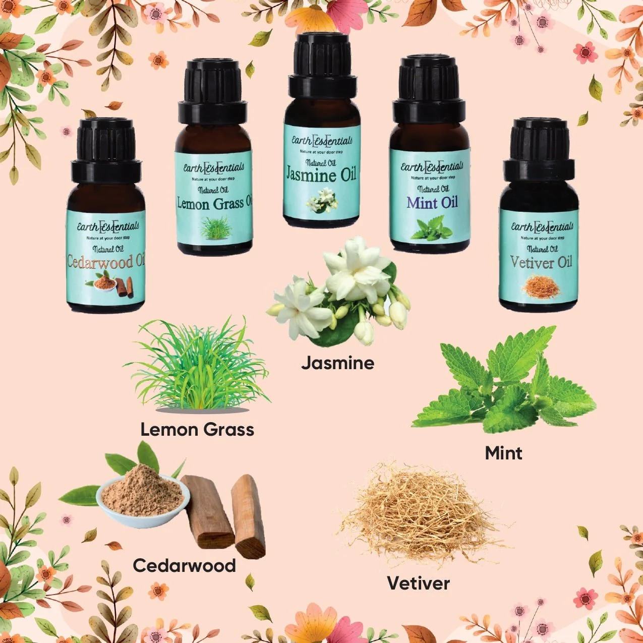 Natural Aroma Oils Set of 5 – Essential Oils Combo Pack 75 ml - Image 4