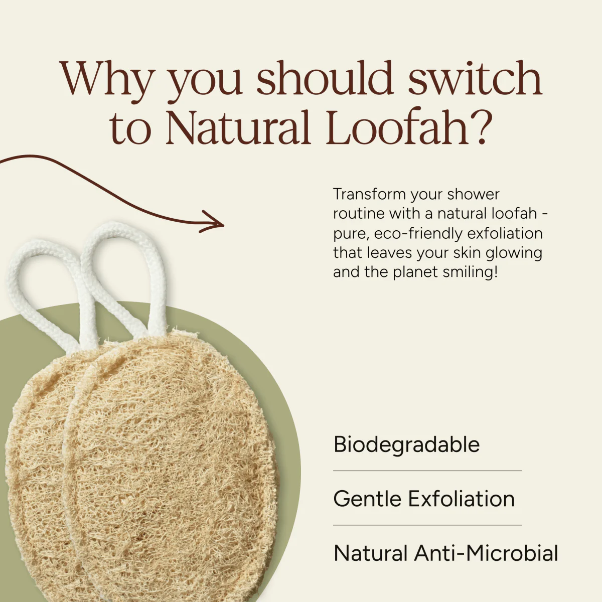 Natural Body Loofah | Exfoliating & Skin-Friendly | Pack of 2 - Image 3