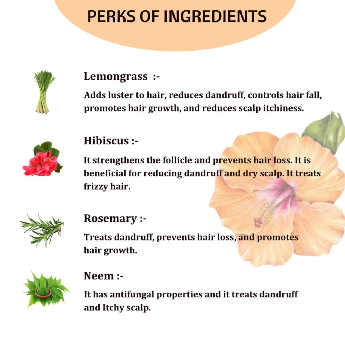 Natural Hair Tonic | Nourish, Revitalize, and Rejuvenate - Image 3