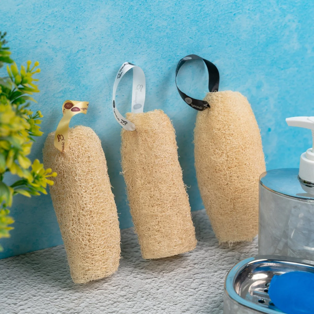 Natural Organic Loofah - Pack of 3 - Image 3