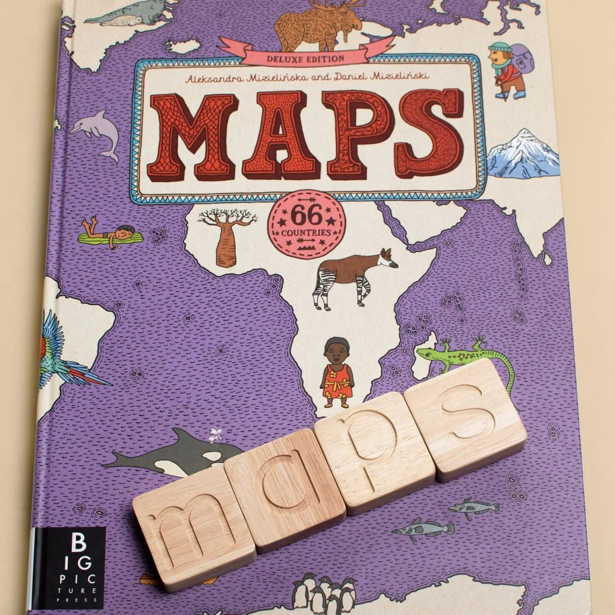Natural Wooden Alphabets Toy – Letter Learning Set - Image 4
