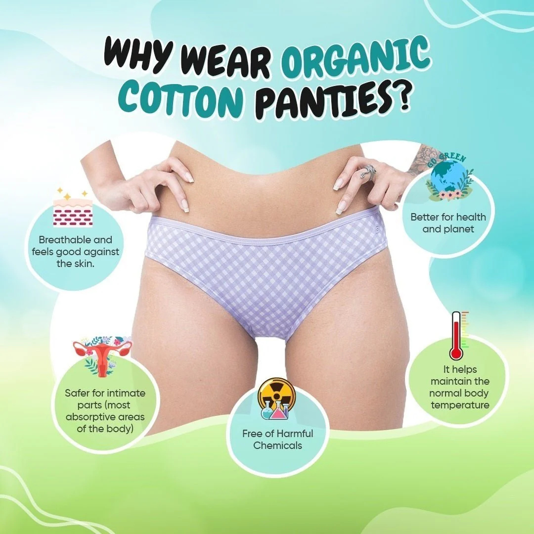 Organic Everyday Bikini Undies- Lavender Checks (3pc) - Image 6