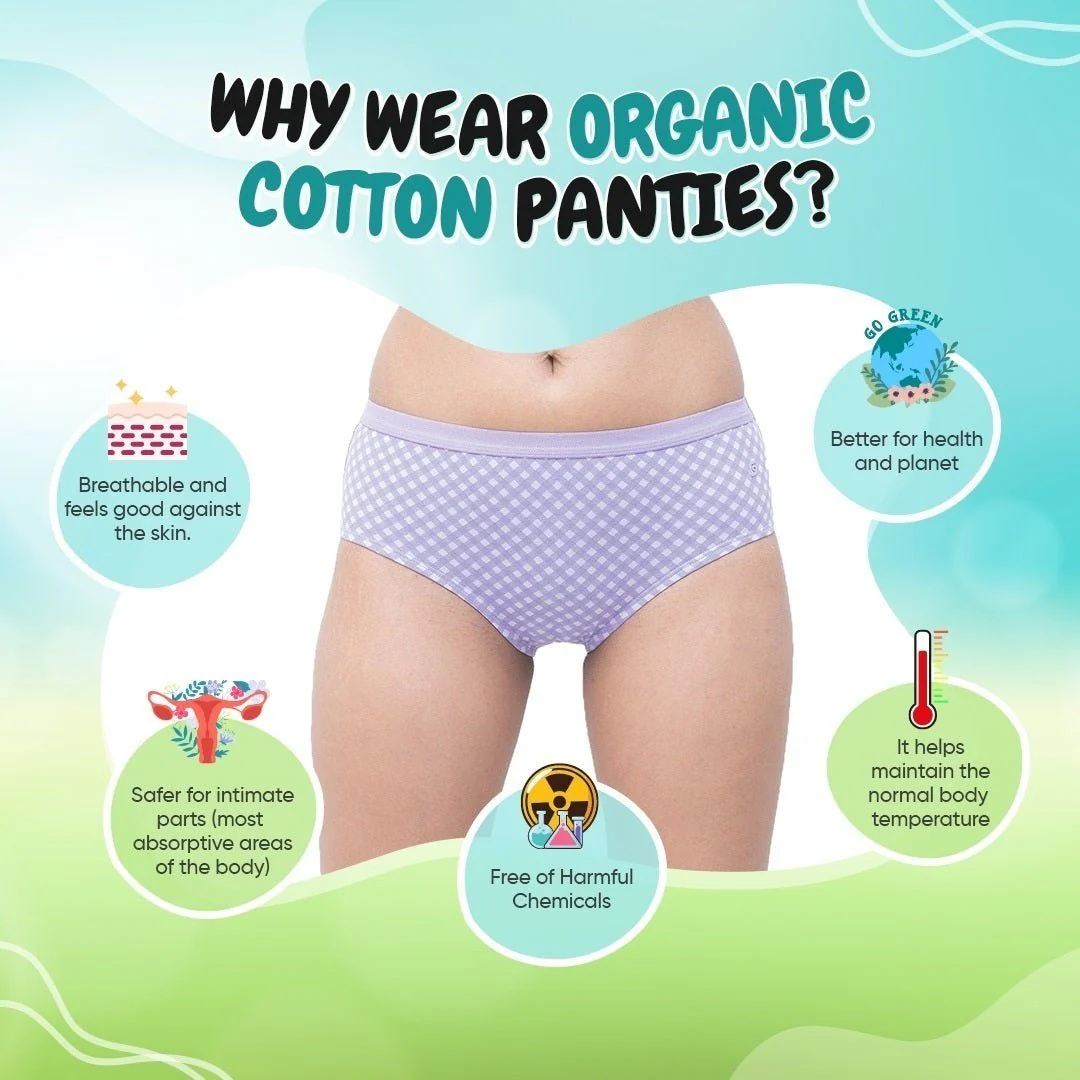Organic Everyday Hipster Undies- Lavender- Set of 3 - Image 7