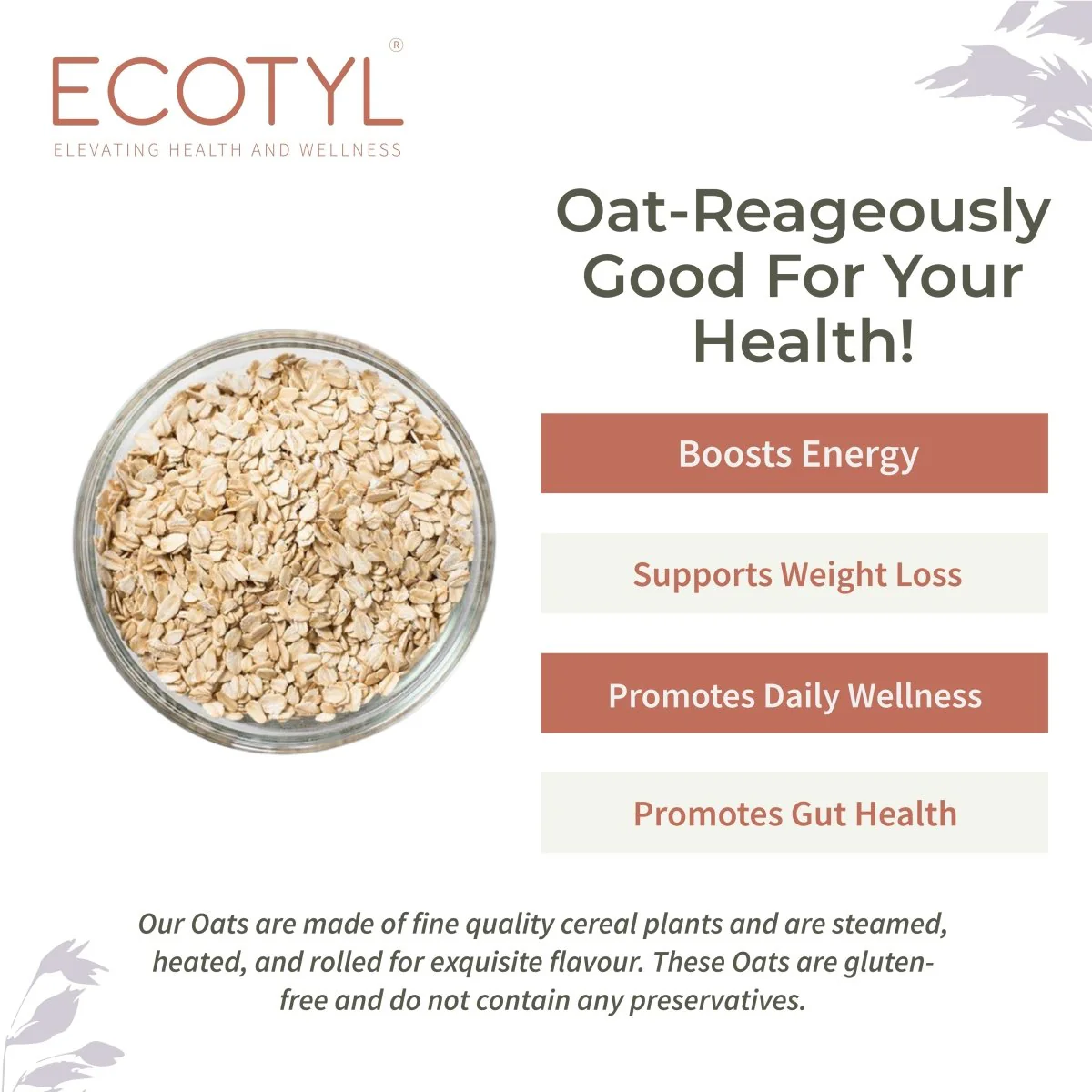 Rolled Oats | Gluten Free | Breakfast Cereal | 500g - Image 2