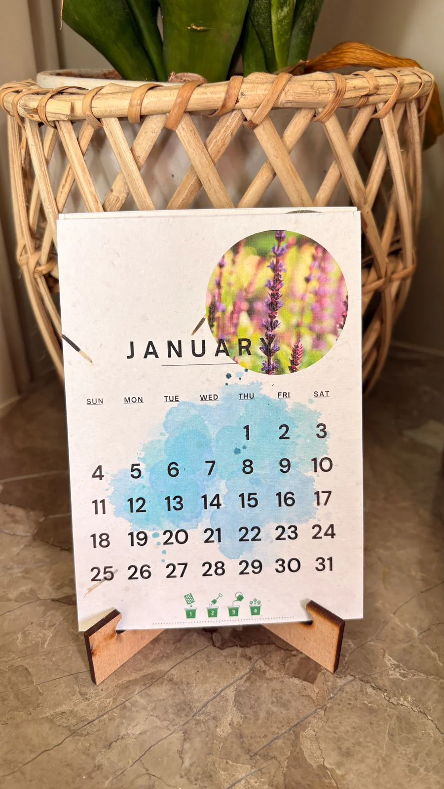 Plantable Seed Desk Calender 2026