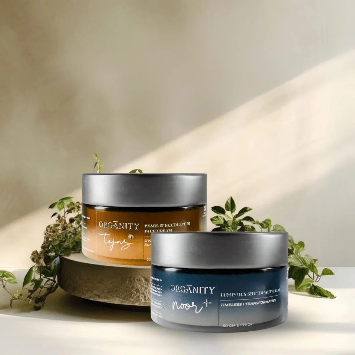 Plump Bombs AM-PM Moisturisers
