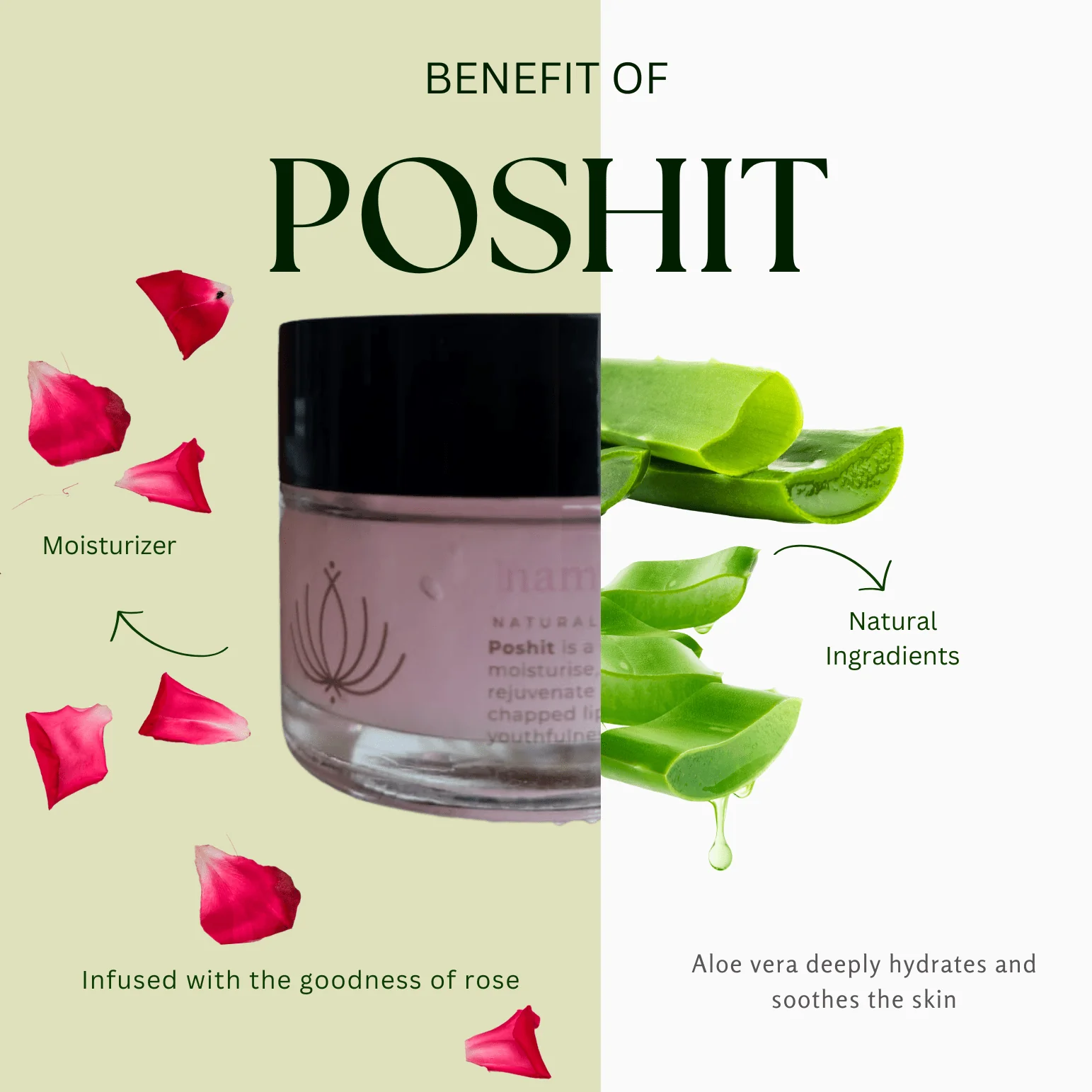 Poshit Gulaab Aloevera Gel - 50 gm - Image 3