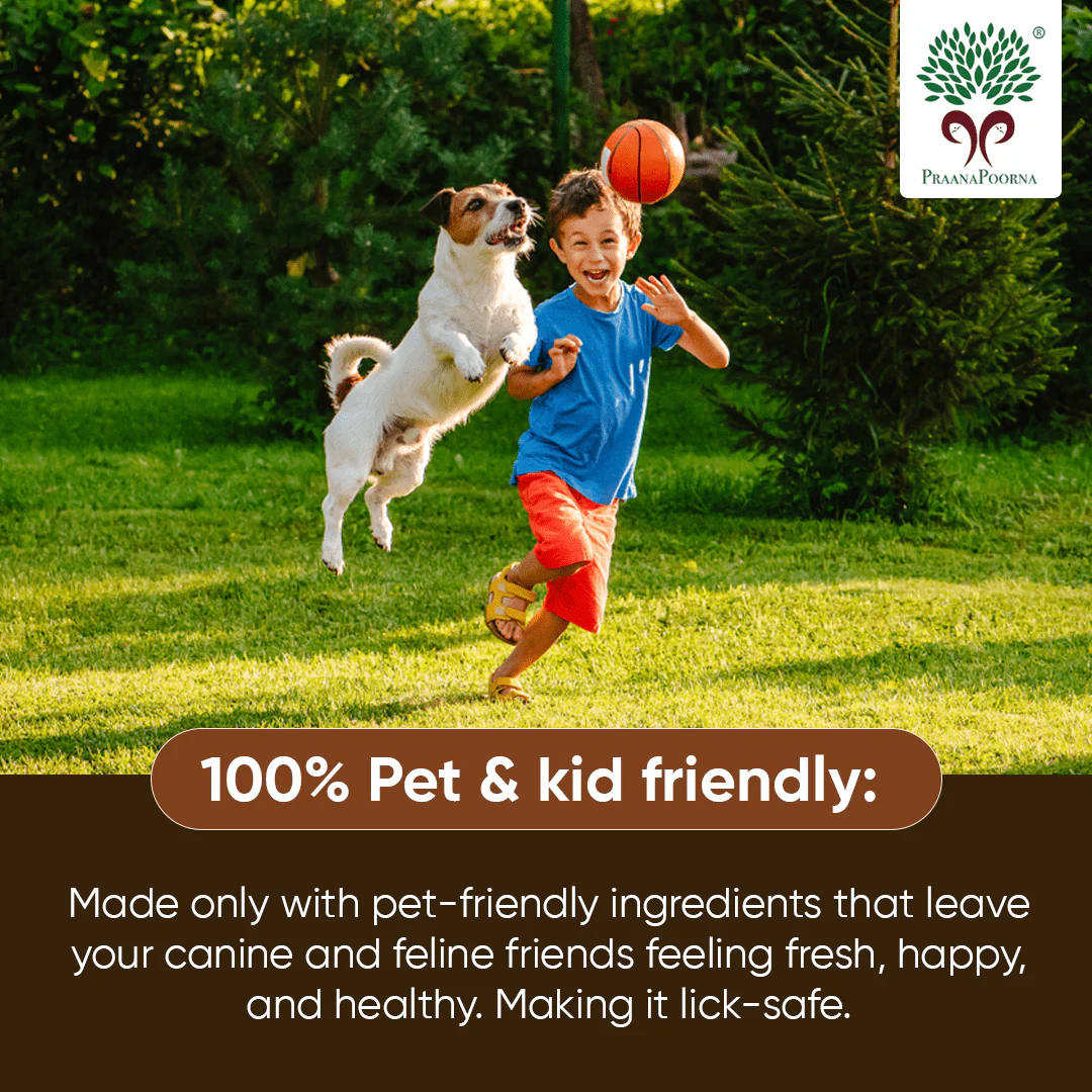 Pet care hamper| Chemical Free Essentials - Image 10