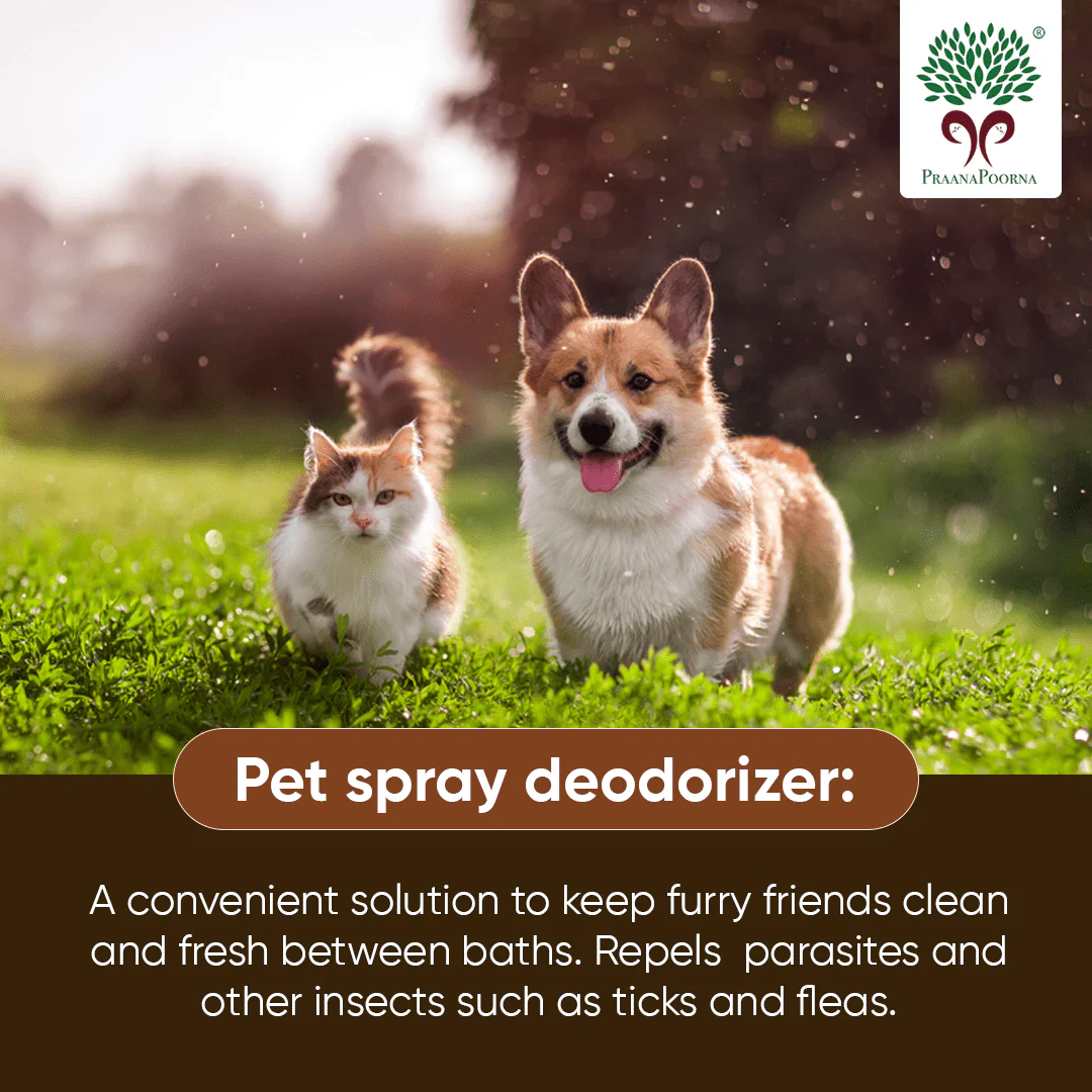 Pet care hamper| Chemical Free Essentials - Image 12