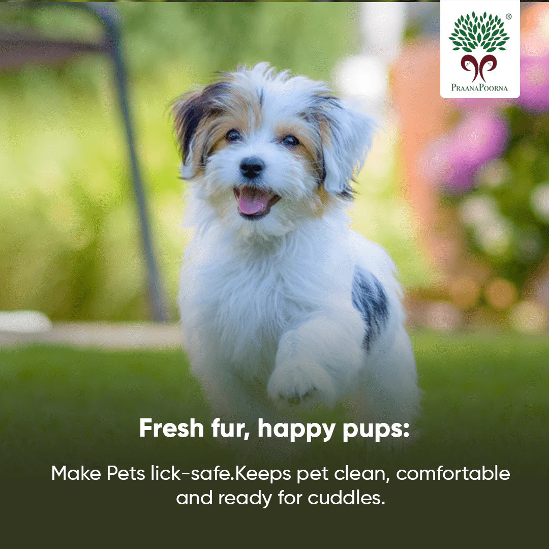 Pet care hamper| Chemical Free Essentials - Image 14