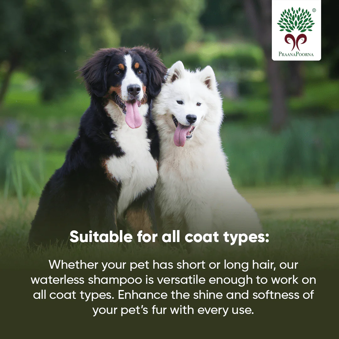 Pet care hamper| Chemical Free Essentials - Image 17