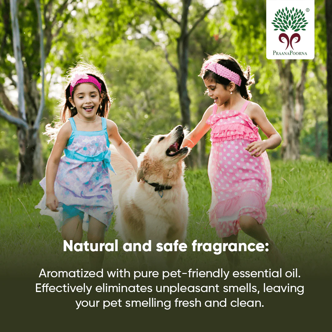 Pet care hamper| Chemical Free Essentials - Image 18