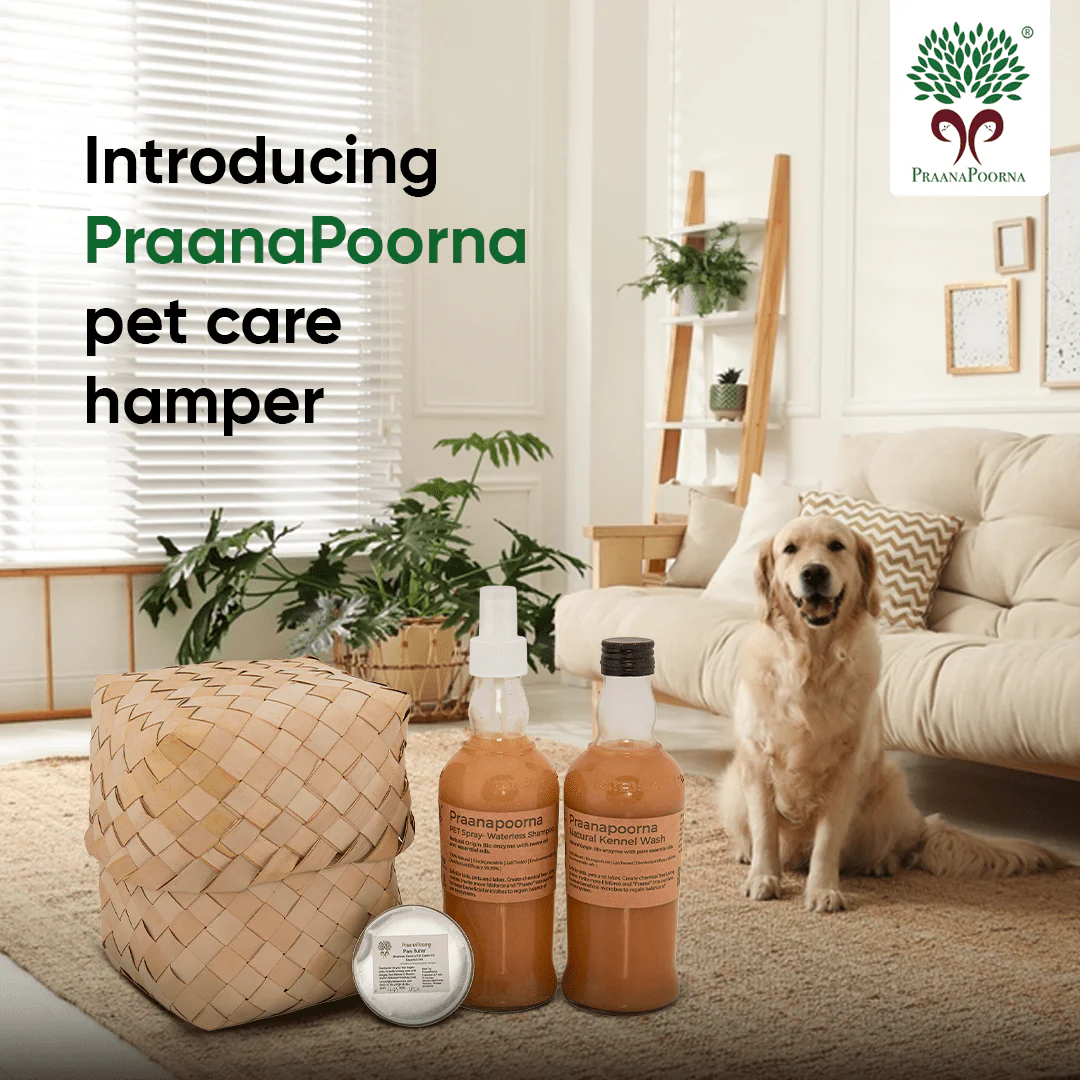 Pet care hamper| Chemical Free Essentials - Image 3