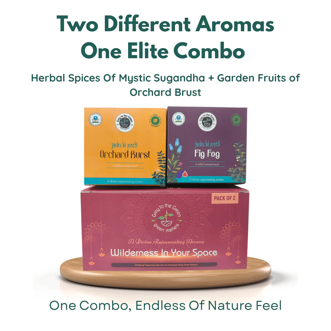Premium Botanical Car Aroma Potli | Orchard Brust & Fig Fog | Pack of 2 - Image 3