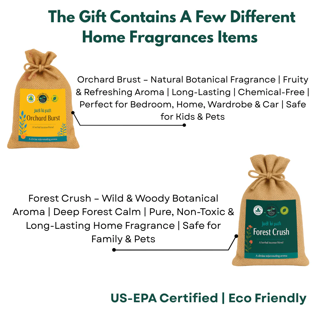 Premium Botanical Car Aroma Potli | Orchard Brust & Forest Crush | Pack of 2 - Image 4