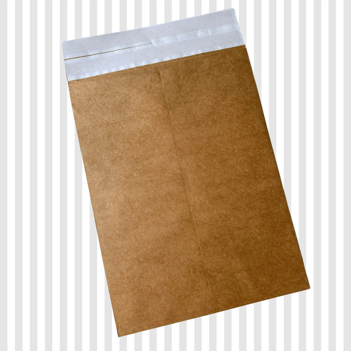 Premium Kraft Mailer Flat Bags