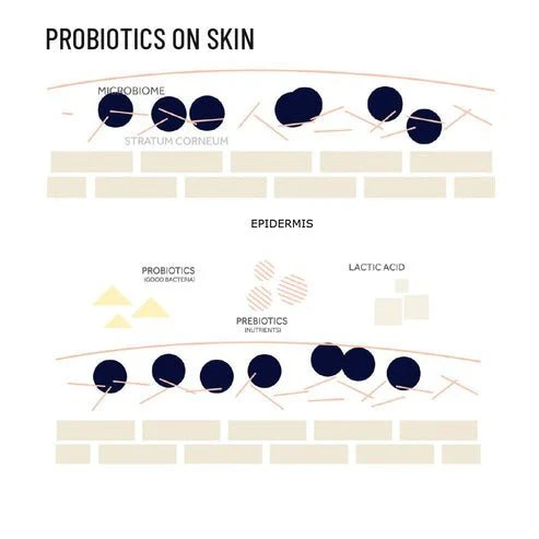 Probiotic Active Conditioner | Natural Conditioner for Hair - Image 4