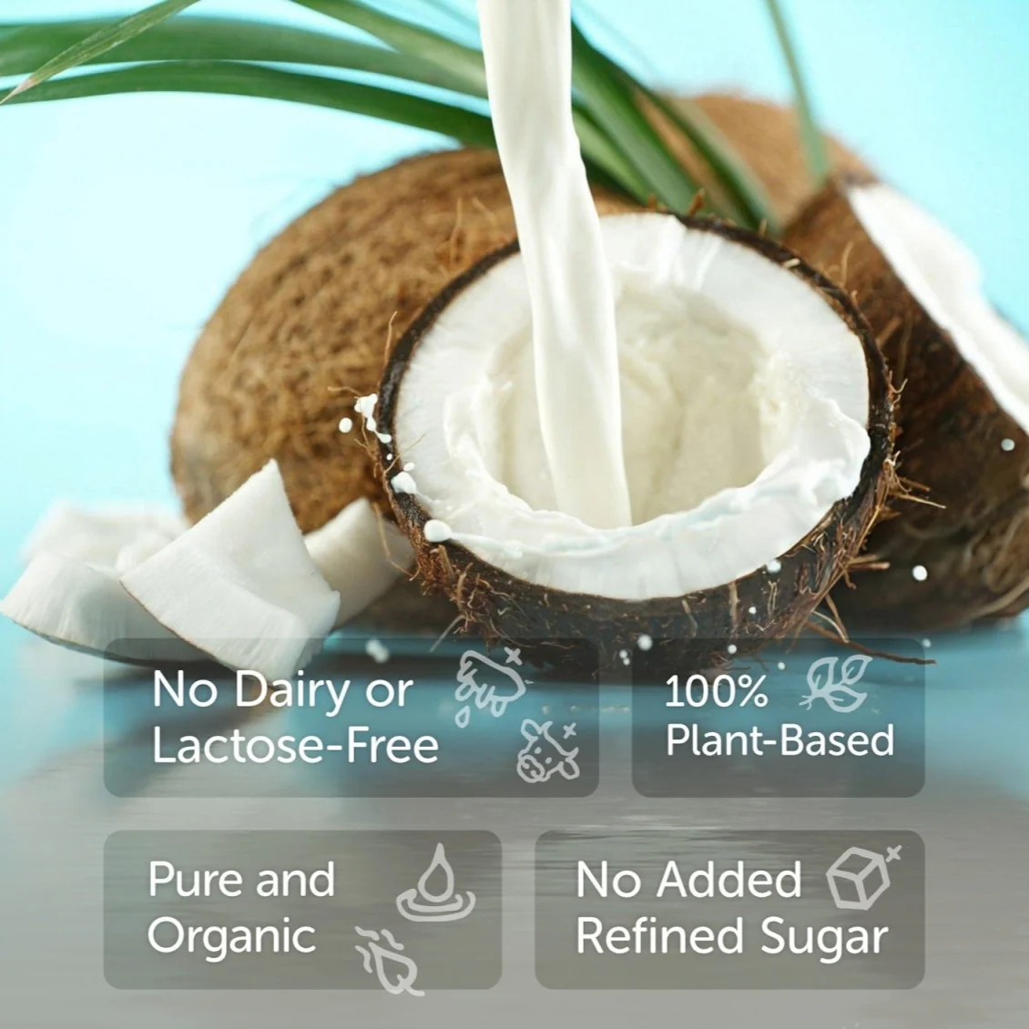 Pure Coconut Milk 400ml - 18% Fat, Sugar-Free, Plant-Based - Image 2