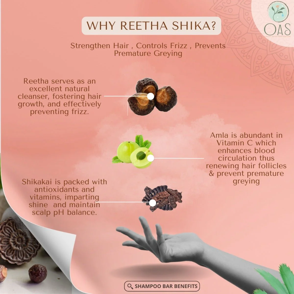 Reetha Shika Shampoo bar | Fights Hairfall & Frizz - Image 3