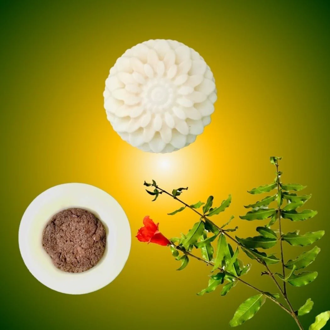 Refreshing Peppermint Scent Wax Block Freshener - Image 3