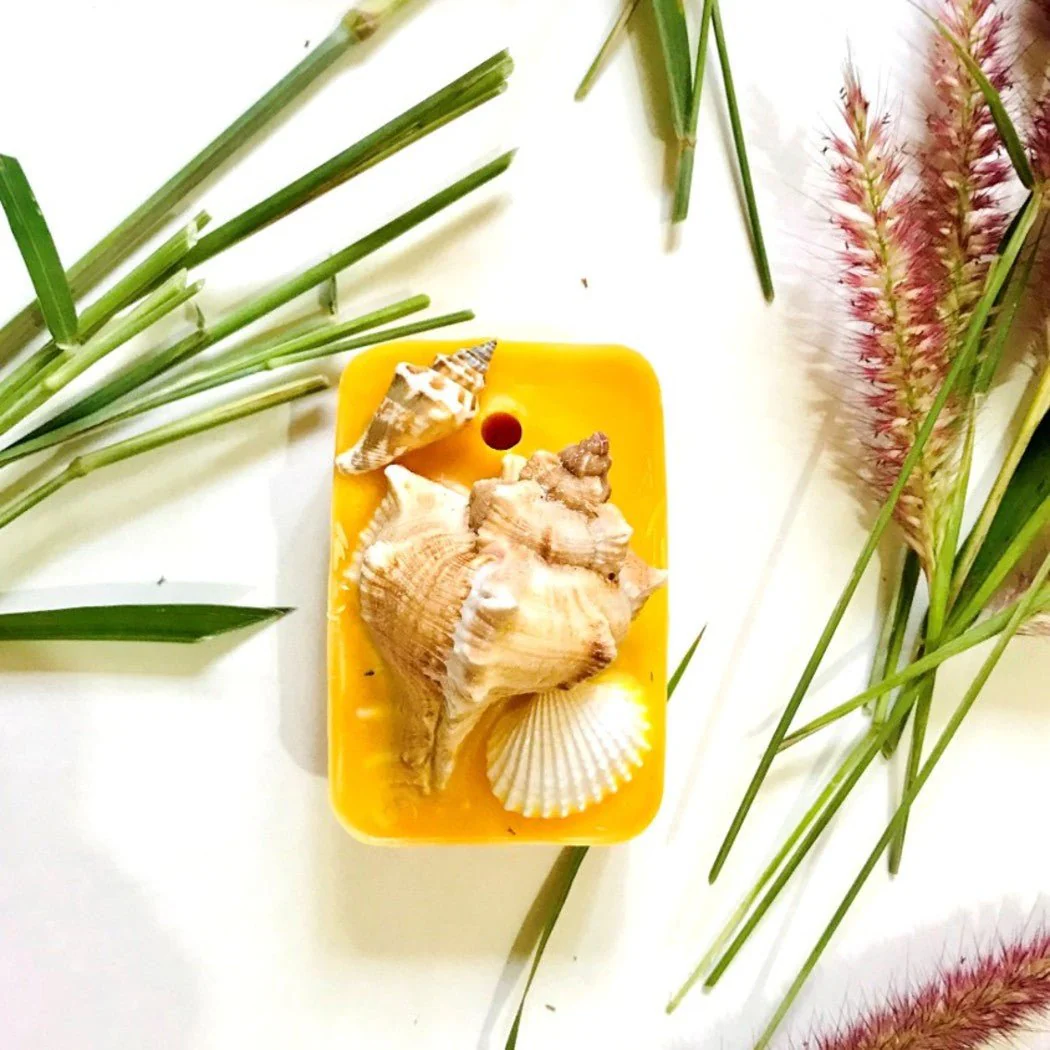 Reusable Seashell Wax Tablet with Refill Fragrance |Large Aroma Tablet - Image 28