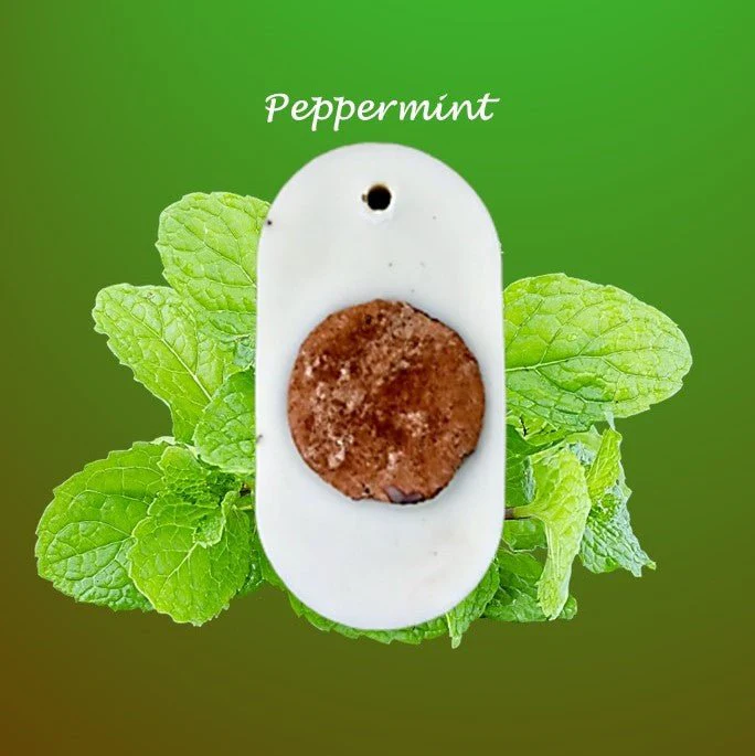 Reusable Wardrobe Freshener Pack of 1 Wax Tablet (White) - Image 13