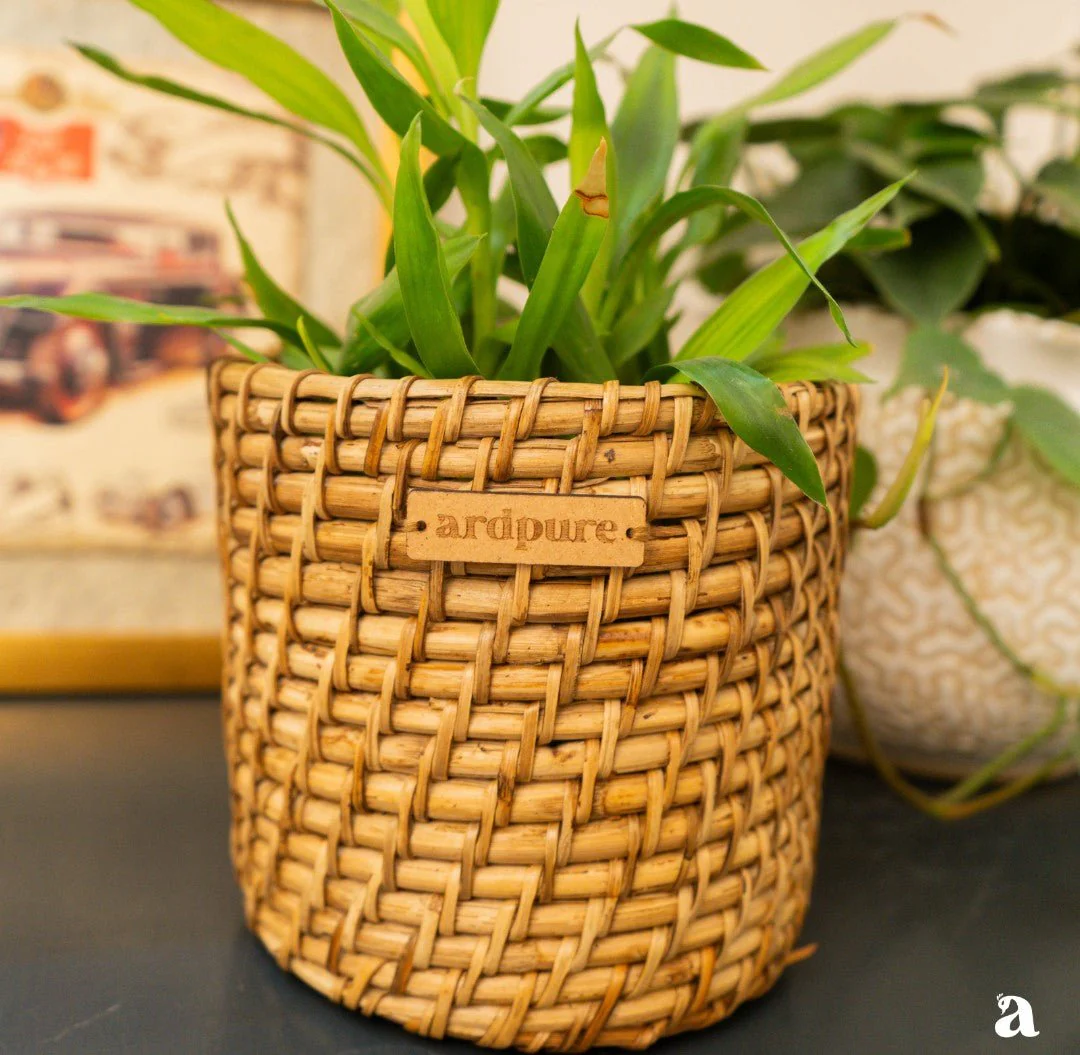 Round Cane Planter | Handcrafted Natural Cane Pot for Home Décor - Image 3