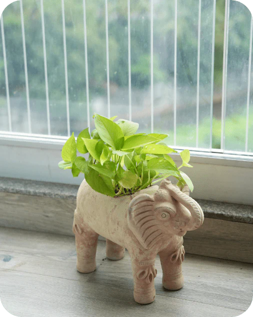 Royal Elephant Earthen Planter