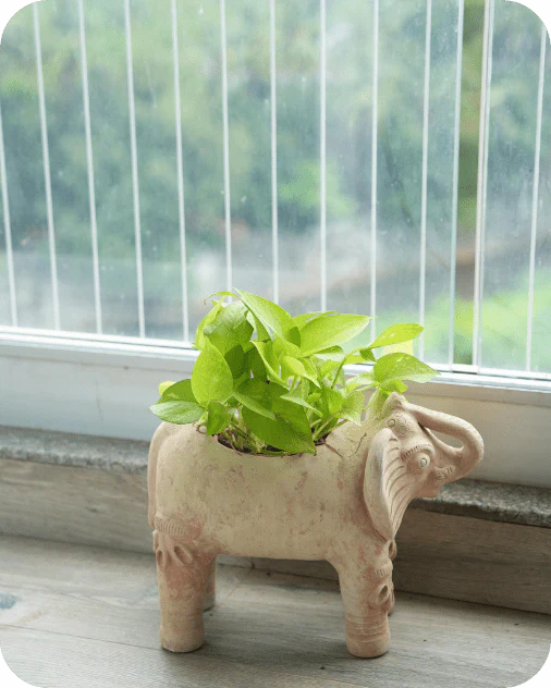 Royal Elephant Earthen Planter - Image 3