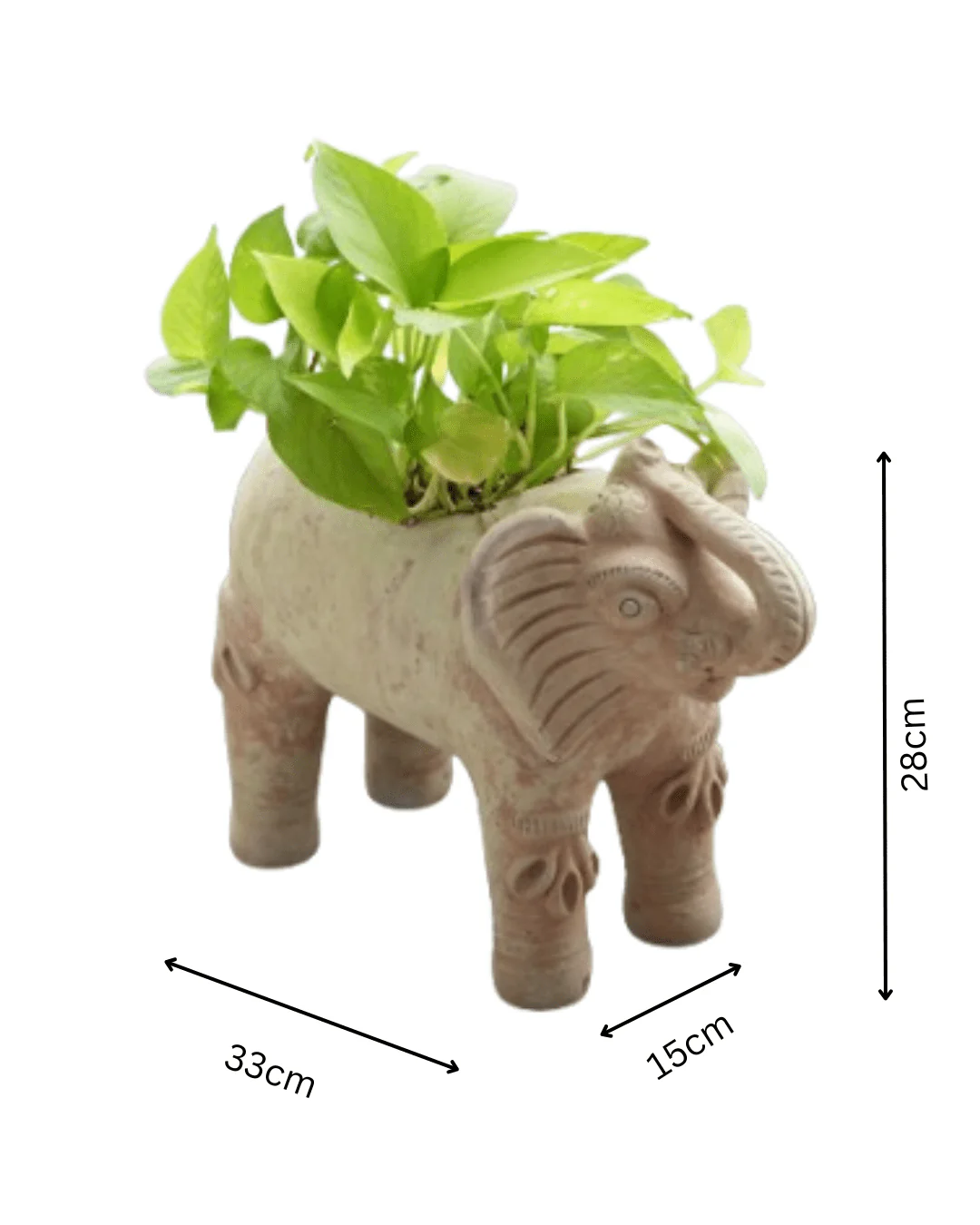 Royal Elephant Earthen Planter - Image 5