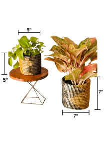 Sabai Grass Planters | Set of 2 - Image 5