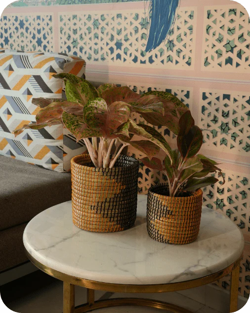 Sabai Grass Planters | Set of 2 - Image 7