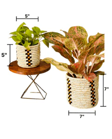 Sabai Grass Planters | Set of 2 - Image 9
