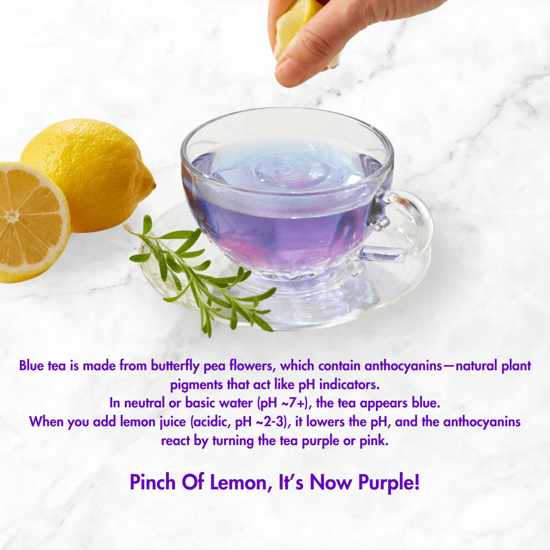 Butterfly Pea Flower Tea | Natural Blue Tea | 40gm | Super Antioxidant - Image 4