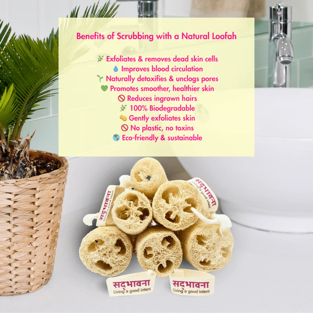 Natural Loofah Sponge | Organic Bath Scrubber | Pack of 6 - Image 3