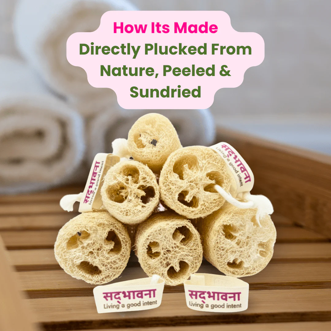 Natural Loofah Sponge | Organic Bath Scrubber | Pack of 6 - Image 4