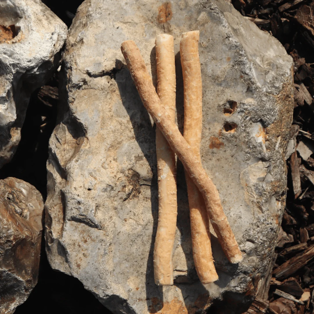 Natural Miswak Stick | Organic Datun  | Pack of 10