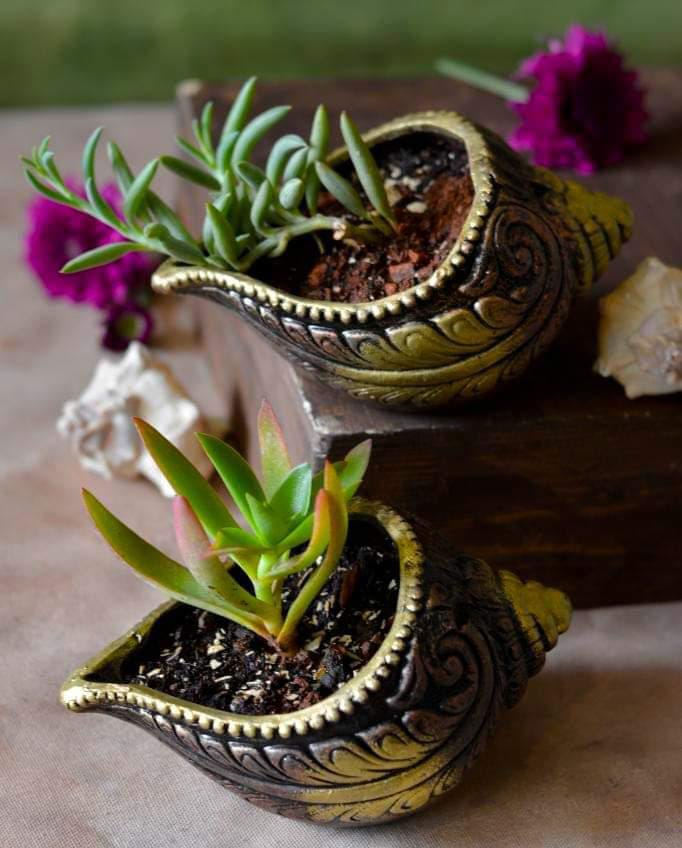 Sankh Planter 5 Inch | Decorative Terracotta Indoor & Outdoor Pot - Image 4