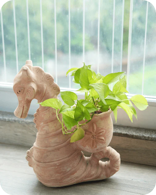 Seashell Seahorse Earthen Planter