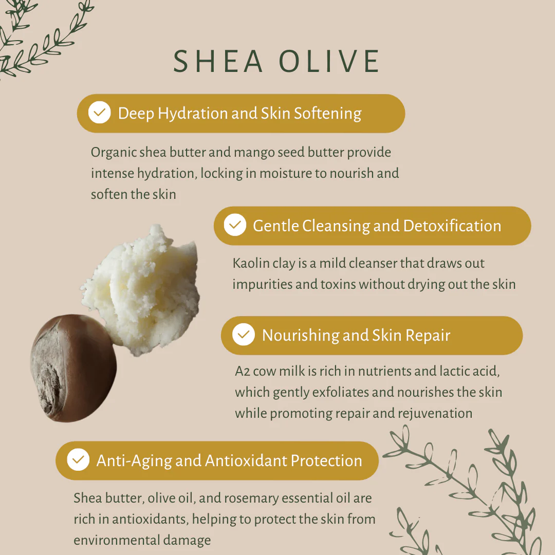 Shea Olive Bar Soap with Organic Shea Butter for Nourished Skin - Image 3