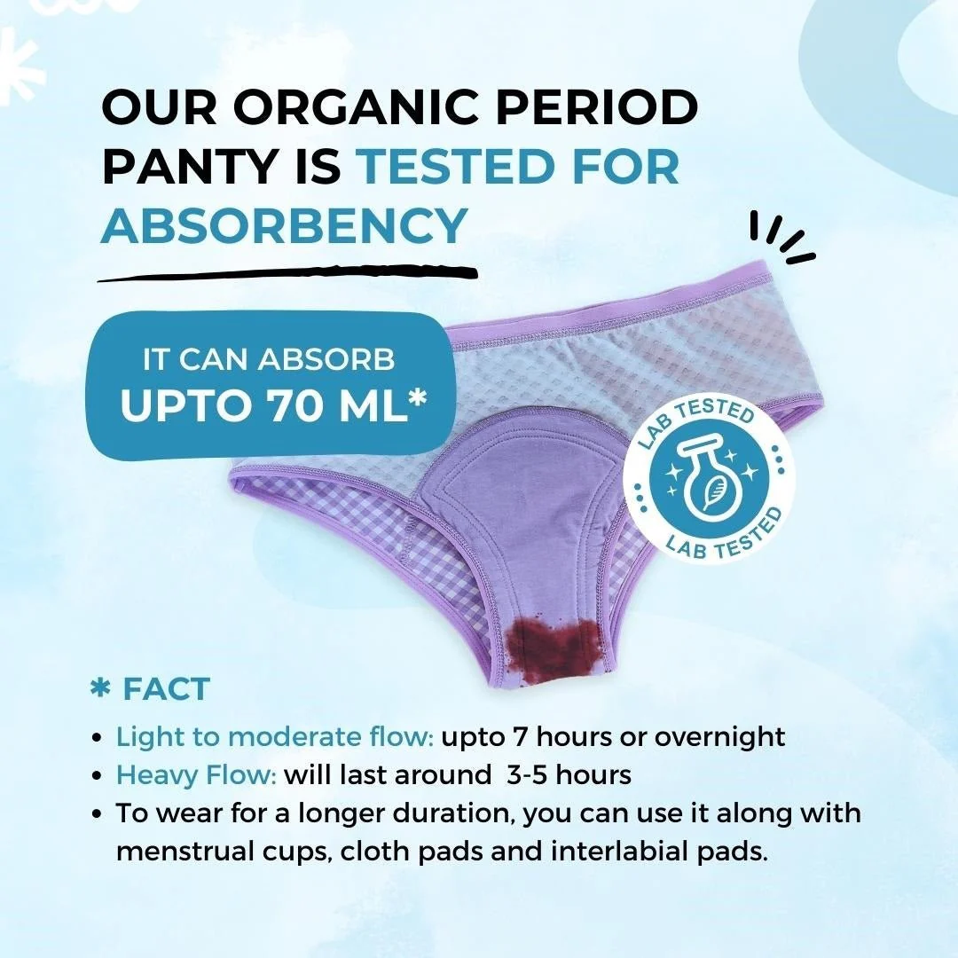 Organic Reusable/Washable/Leakproof/Absorbent Period Panty (Hipster) - Image 7