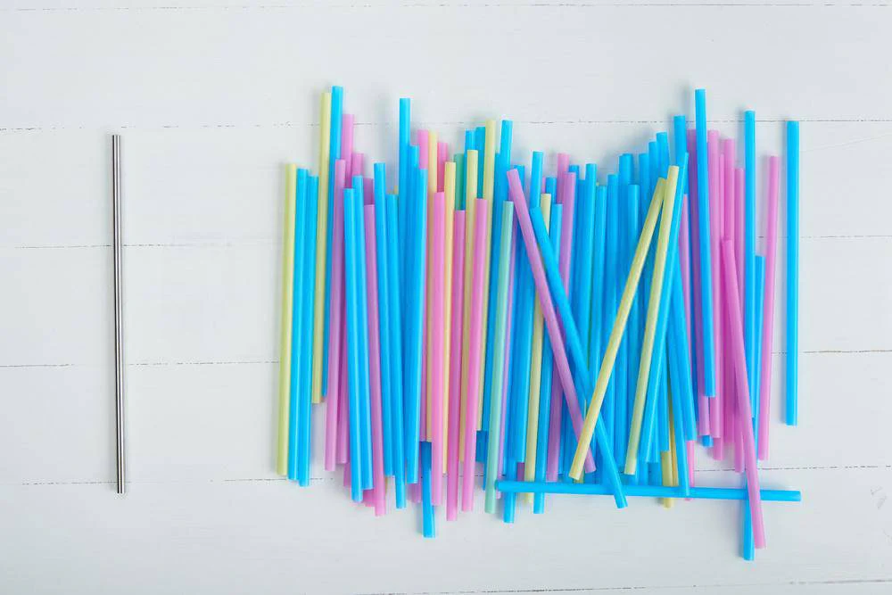 Steel Straws | Reusable Straws 2 Bent + 2 Straight + 1 Cleaner + 1 Pouch | Eco friendly Straws - Image 5