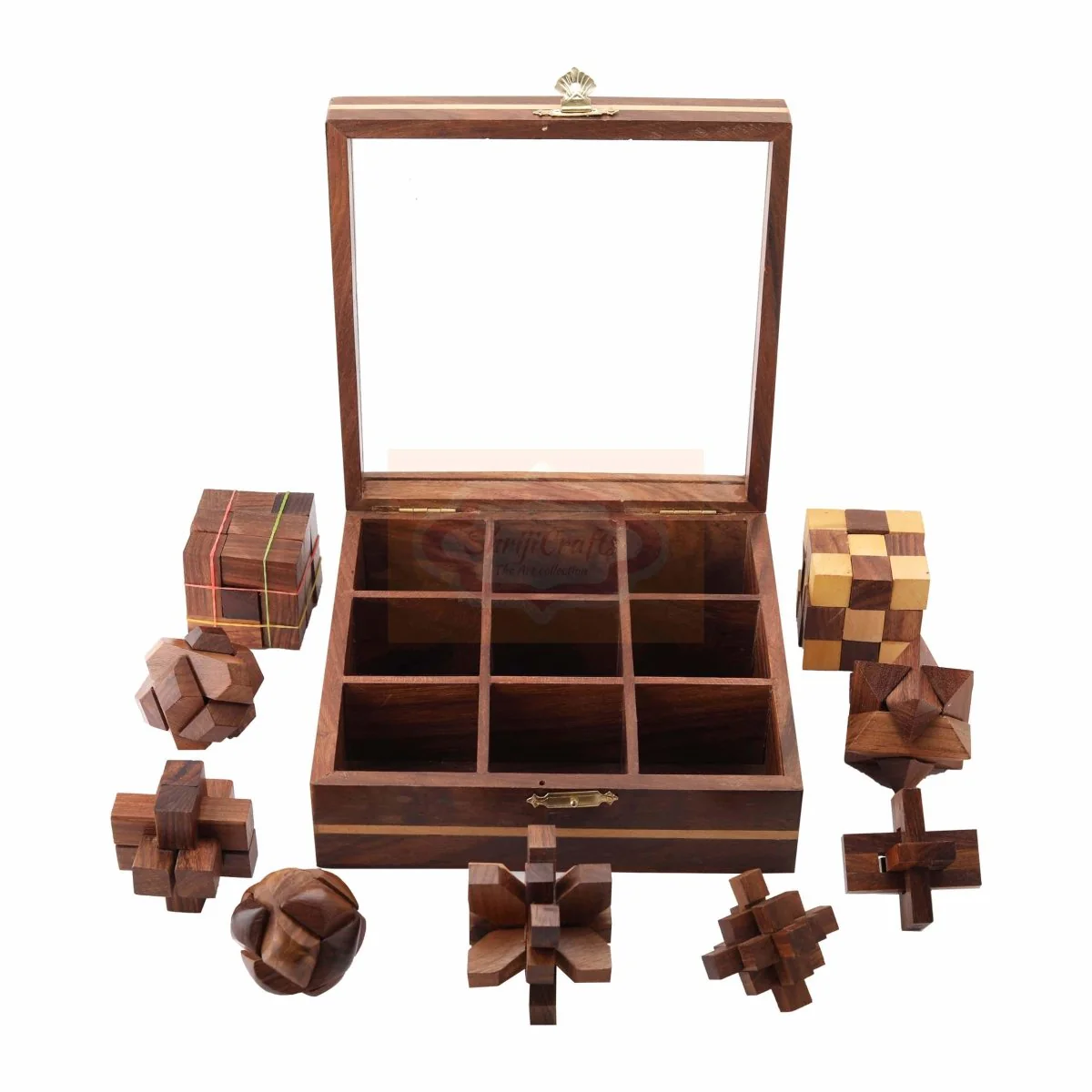 STEM Brain Teaser Puzzle Set, 9 Wooden Mechanical Puzzles - Image 4