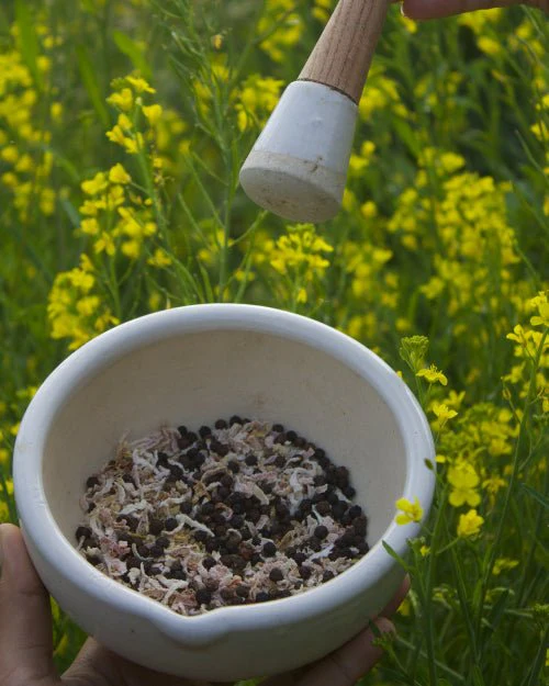 The Himalayan Gooseberry Seasoning - Image 2