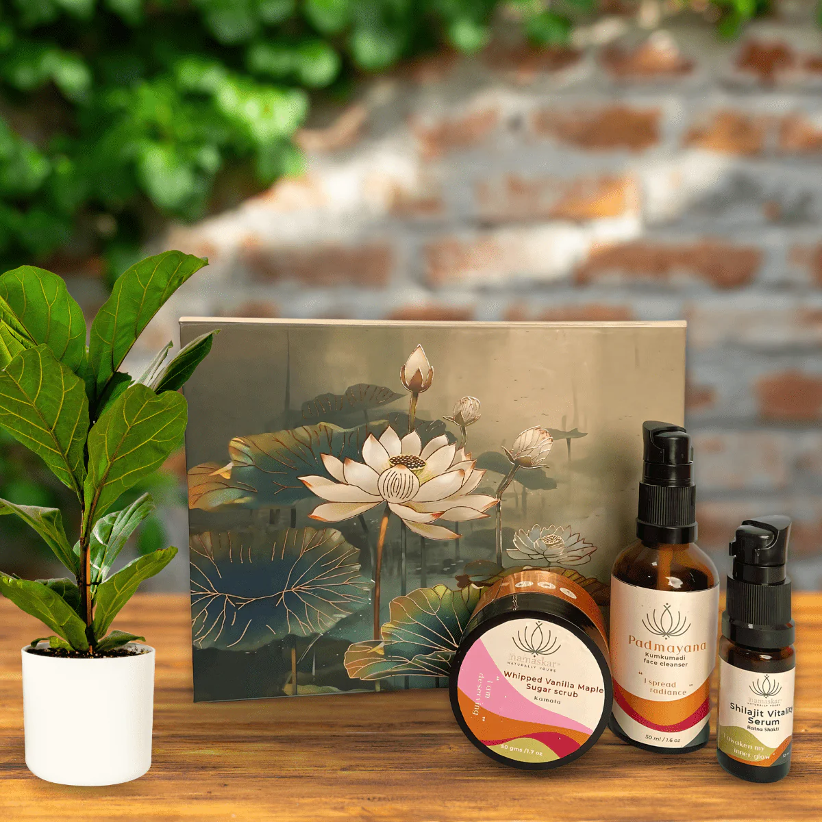 Timeless Glow Skincare Set | Ageless Beauty Kit