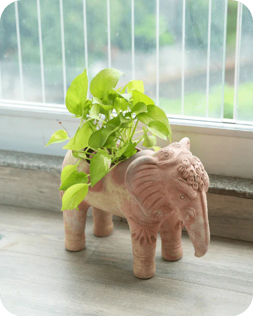 Traditional Elephant Earthen Planter
