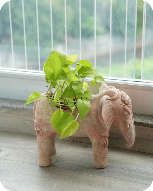 Traditional Elephant Earthen Planter - Image 2