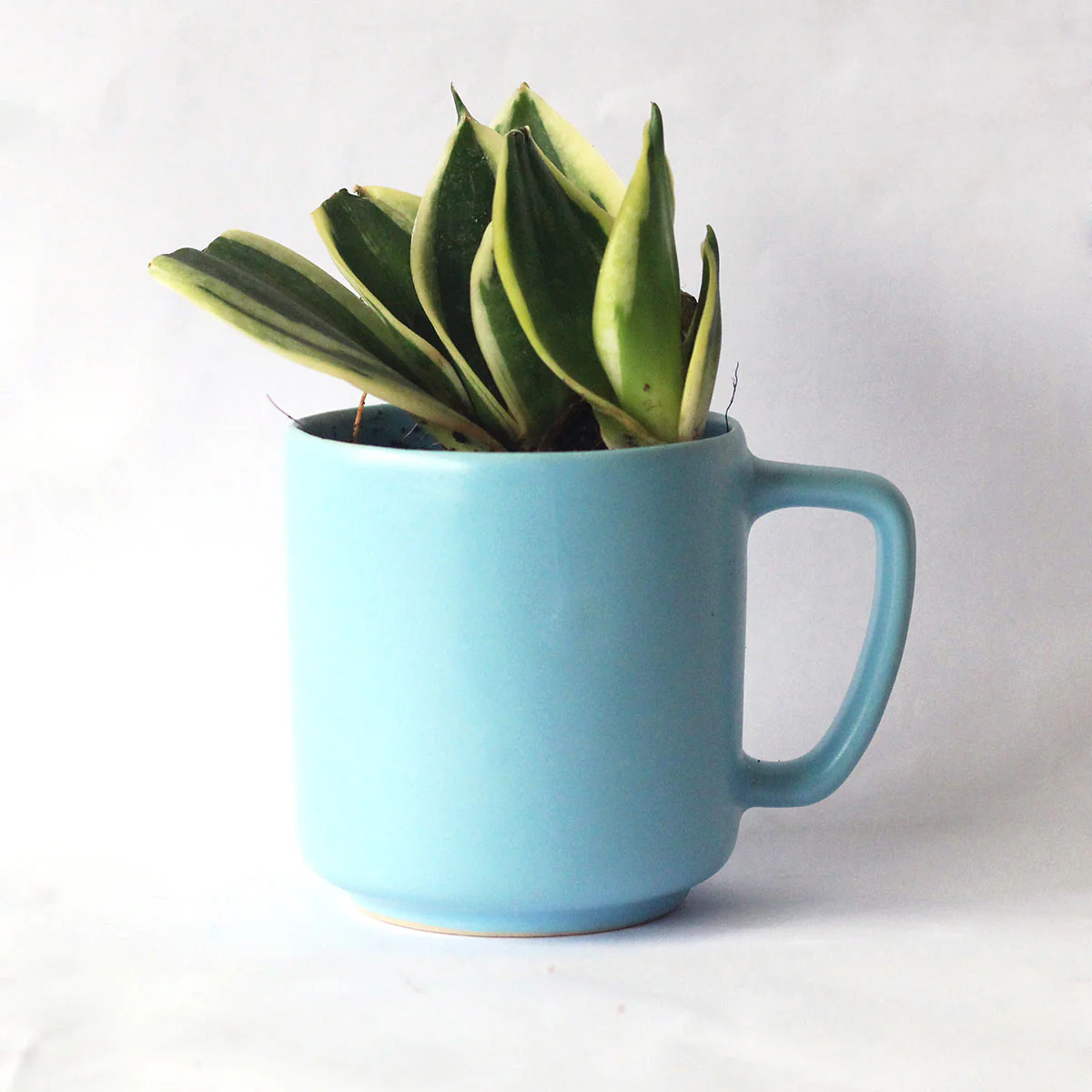 Vyom Recycled Ceramic Desk Planter with holder - Image 2